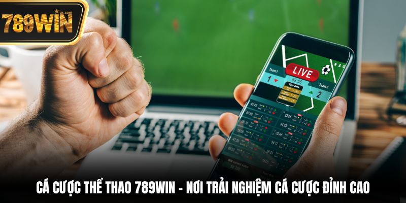 Cá cược thể thao 789win - Nơi trải nghiệm cá cược đỉnh cao